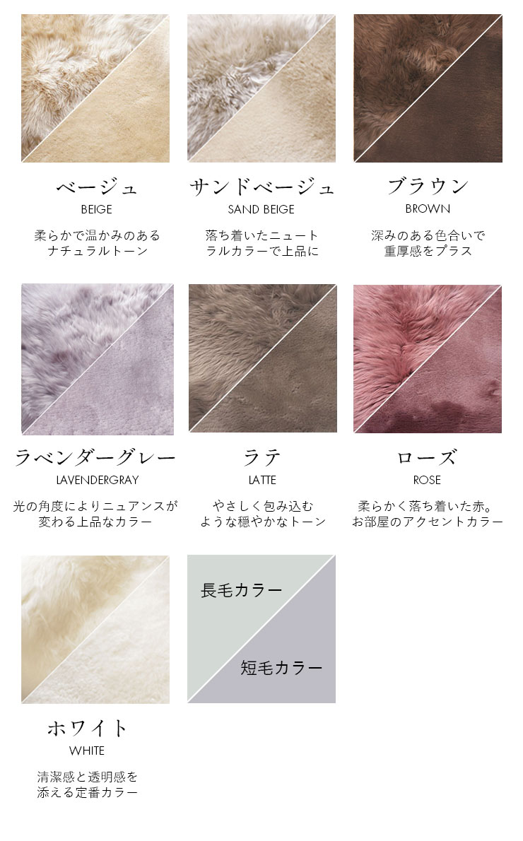 カラーサンプル