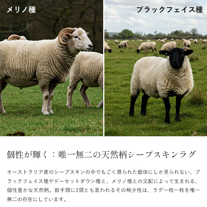 天然模様ムートンラグ