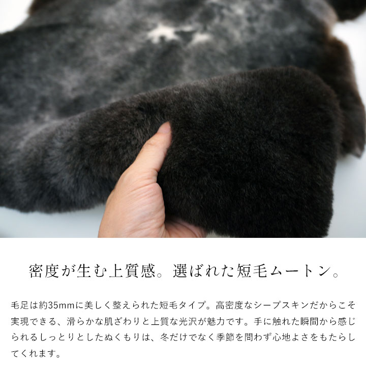 唯一無二の天然美 ムートンラグ「SPOTTY」｜希少な模様を纏う上質な一